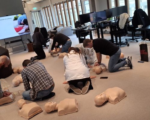 HLR Vuxen bredbild (3)